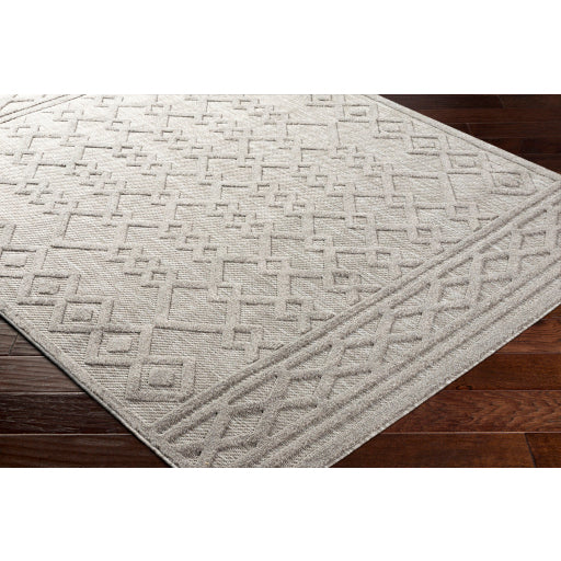 Surya San Diego SFG-2310 Gray Modern  Rug