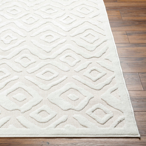 Surya San Diego SFG-2314 Off-White Modern  Rug