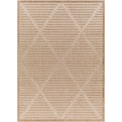 Surya San Diego SFG-2318 Light Brown Modern  Rug