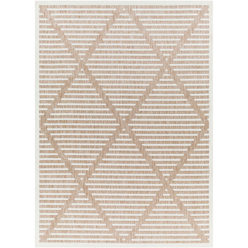 Surya San Diego SFG-2319 Brown Modern  Rug