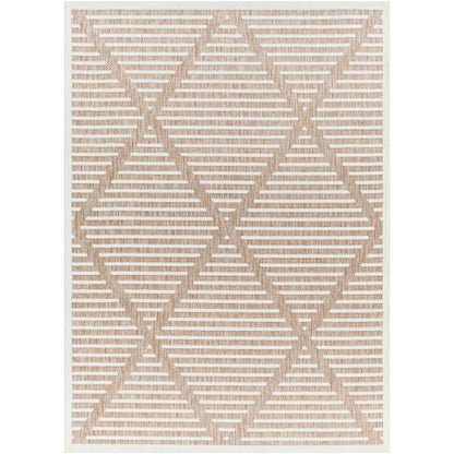 Surya San Diego SFG-2319 Brown Modern  Rug
