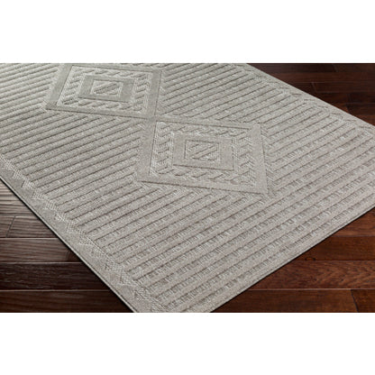 Surya San Diego SFG-2325 Gray Modern  Rug