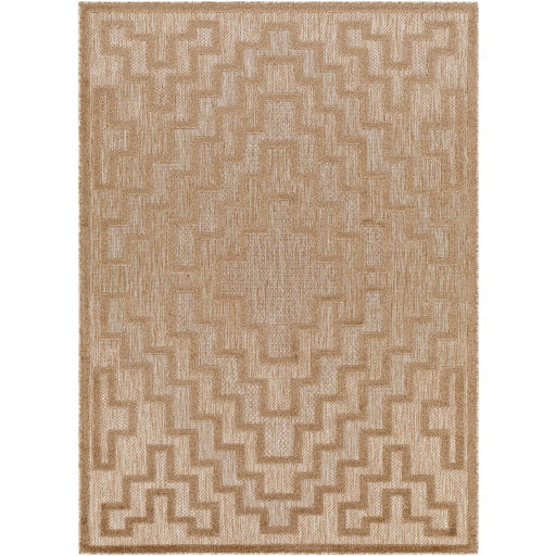 Surya San Diego SFG-2329 Light Brown Modern  Rug