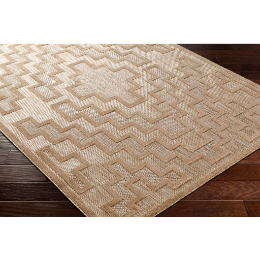 Surya San Diego SFG-2329 Light Brown Modern  Rug