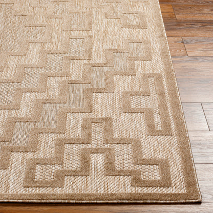 Surya San Diego SFG-2329 Light Brown Modern  Rug