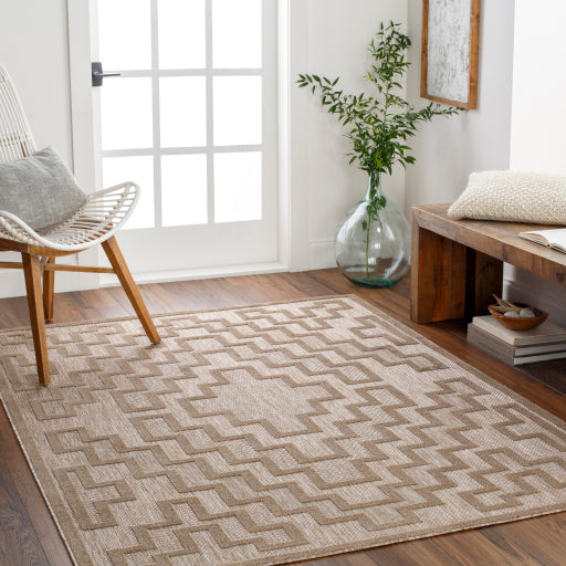 Surya San Diego SFG-2329 Light Brown Modern  Rug