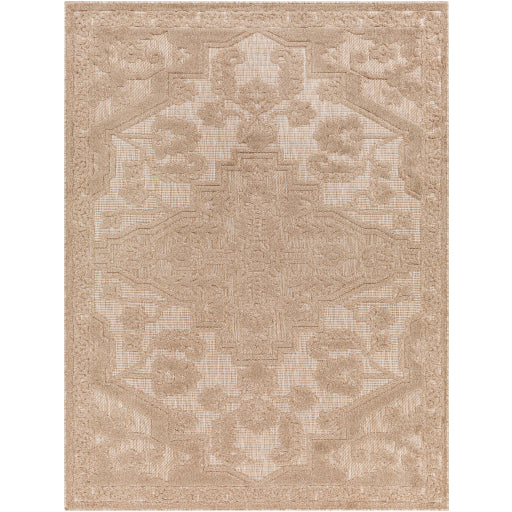 Surya San Diego SFG-2337 Light Brown Modern  Rug
