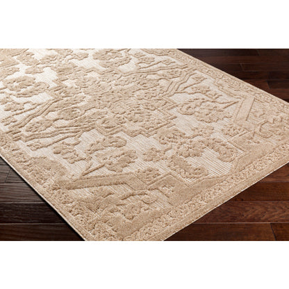 Surya San Diego SFG-2337 Light Brown Modern  Rug