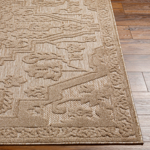 Surya San Diego SFG-2337 Light Brown Modern  Rug