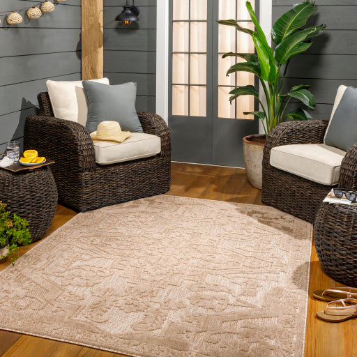 Surya San Diego SFG-2337 Light Brown Modern  Rug