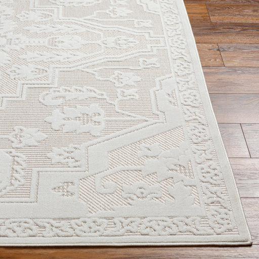 Surya San Diego SFG-2339 Off-White Modern  Rug