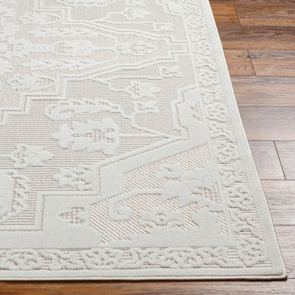 Surya San Diego SFG-2339 Off-White Modern  Rug