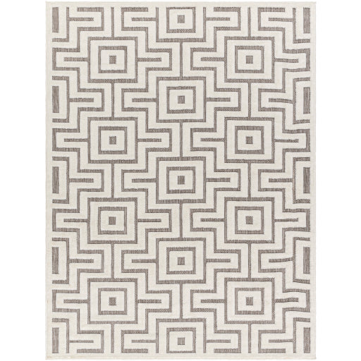 Surya San Diego SFG-2347 Gray Modern  Rug