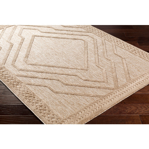Surya San Diego SFG-2354 Light Brown Modern  Rug