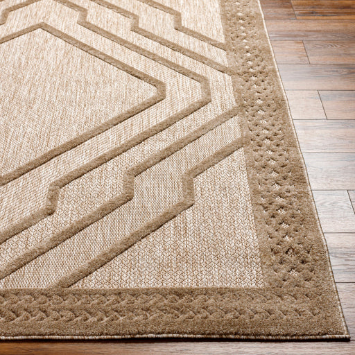 Surya San Diego SFG-2354 Light Brown Modern  Rug