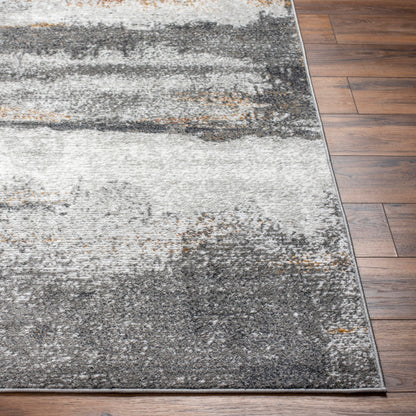 Surya San Francisco SFO-2300 Charcoal Modern  Rug
