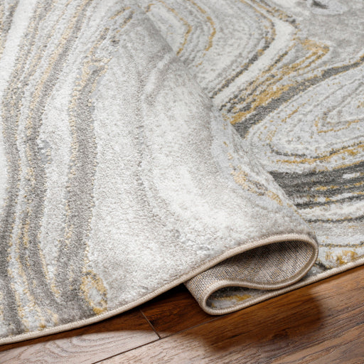 Surya San Francisco SFO-2304 Light Gray Modern  Rug