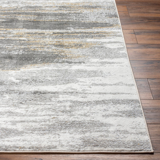 Surya San Francisco SFO-2311 Light Gray Modern  Rug