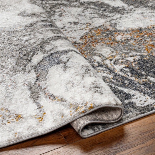 Surya San Francisco SFO-2315 Charcoal Modern  Rug