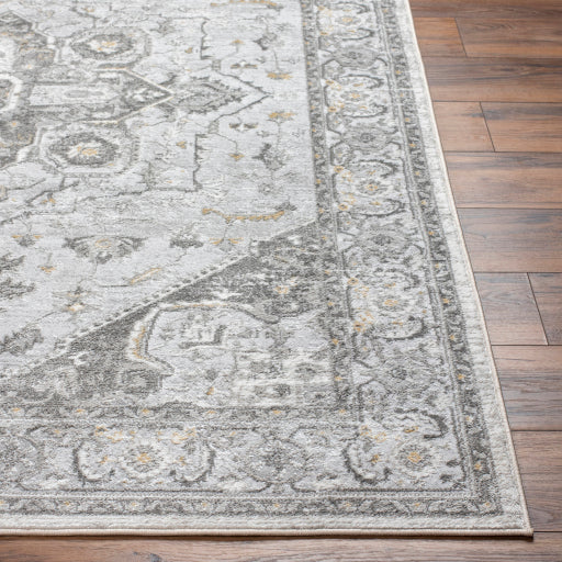 Surya San Francisco SFO-2327 Light Gray Traditional  Rug