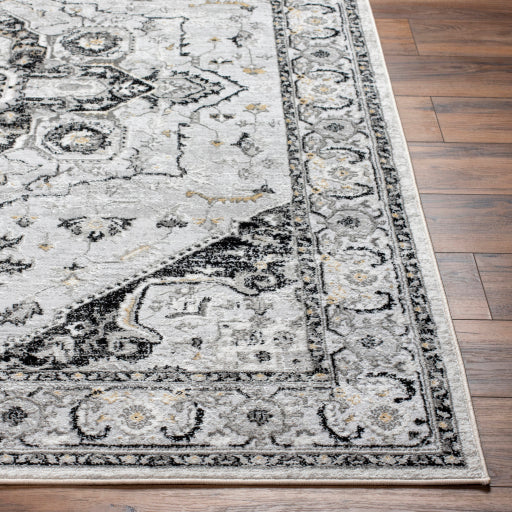 Surya San Francisco SFO-2328 Light Gray Traditional  Rug
