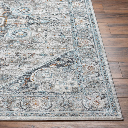 Surya San Francisco SFO-2329 Ivory Traditional  Rug