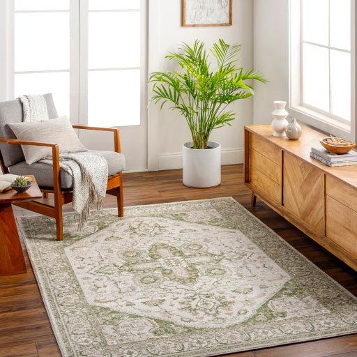 Surya San Francisco SFO-2330 Ivory Traditional  Rug