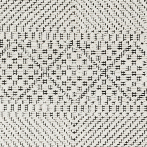 Surya Saint Clair SIC-2300 Black Global  Rug