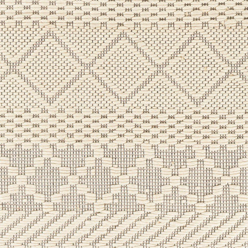 Surya Saint Clair SIC-2303 Cream Global  Rug