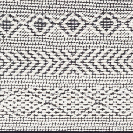 Surya San Jose SJO-2301 Ivory Modern  Rug