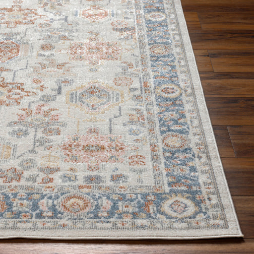 Surya Santana SNN-2303 Cream Traditional  Rug