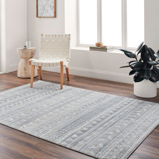Surya Santana SNN-2304 Gray Global  Rug