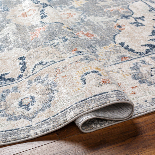 Surya Santana SNN-2306 Gray Traditional  Rug