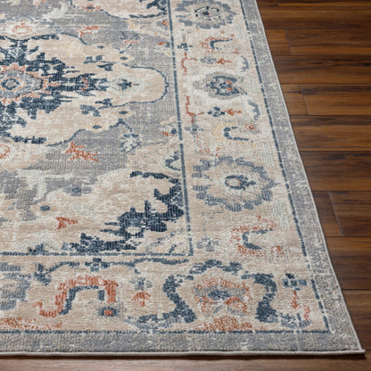 Surya Santana SNN-2306 Gray Traditional  Rug