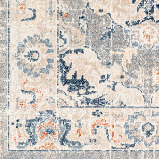 Surya Santana SNN-2306 Gray Traditional  Rug