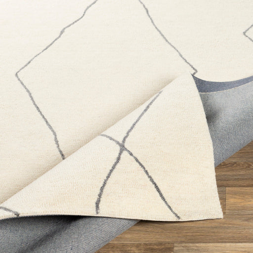 Surya Sinop SNP-2306 Charcoal Global  Rug