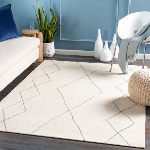 Surya Sinop SNP-2306 Charcoal Global  Rug