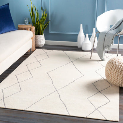 Surya Sinop SNP-2306 Charcoal Global  Rug