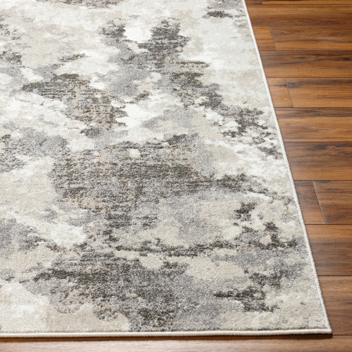 Surya Soldado SOD-2305 Medium Gray Modern  Rug