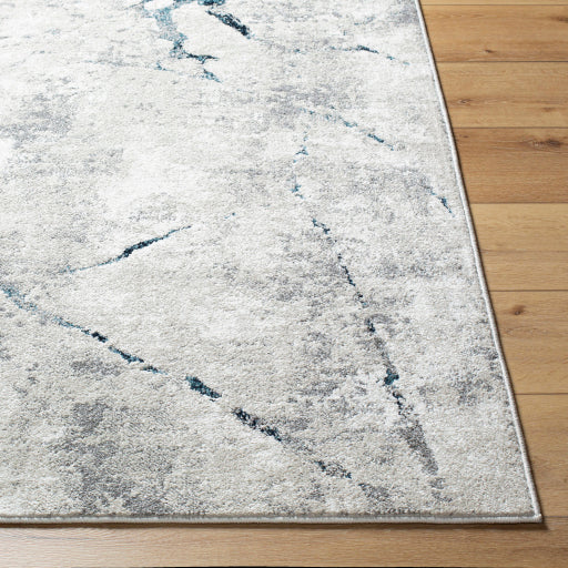 Surya Soldado SOD-2307 Medium Gray Modern  Rug
