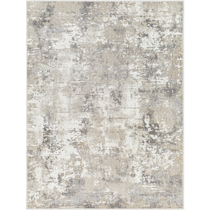 Surya Soldado SOD-2310 Medium Gray Modern  Rug