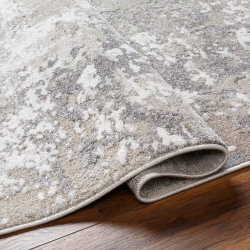 Surya Soldado SOD-2310 Medium Gray Modern  Rug