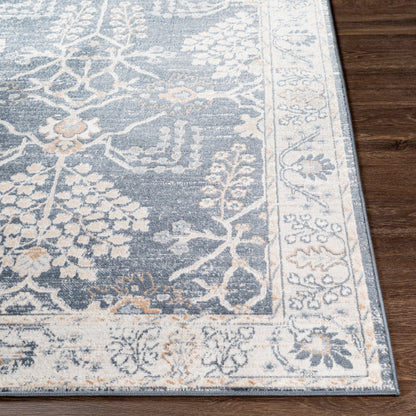 Surya St Tropez SRZ-2310 Denim Traditional  Rug