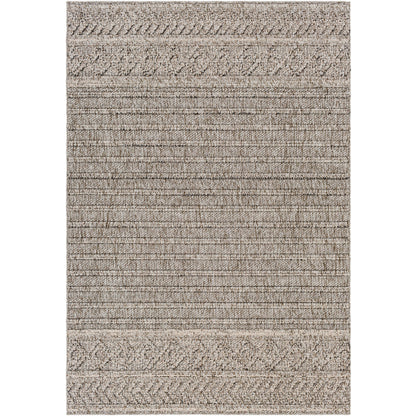 Surya Sarasota SSO-2303 Brown Modern  Rug