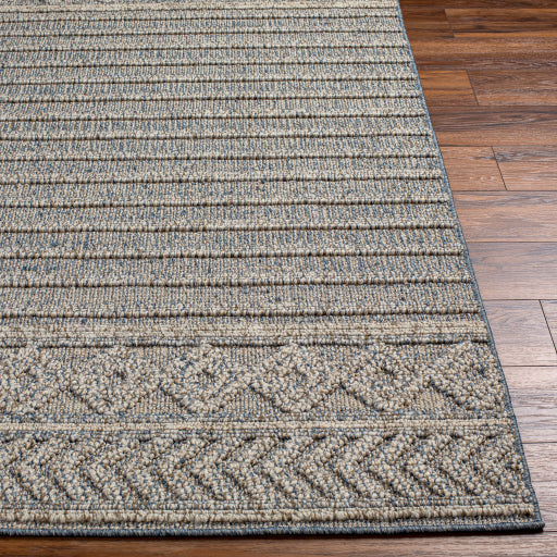 Surya Sarasota SSO-2304 Blue Modern  Rug