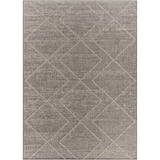 Surya Sarasota SSO-2306 Brown Modern  Rug