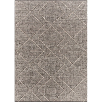 Surya Sarasota SSO-2306 Brown Modern  Rug