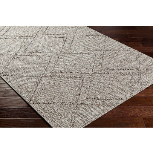 Surya Sarasota SSO-2307 Taupe Modern  Rug
