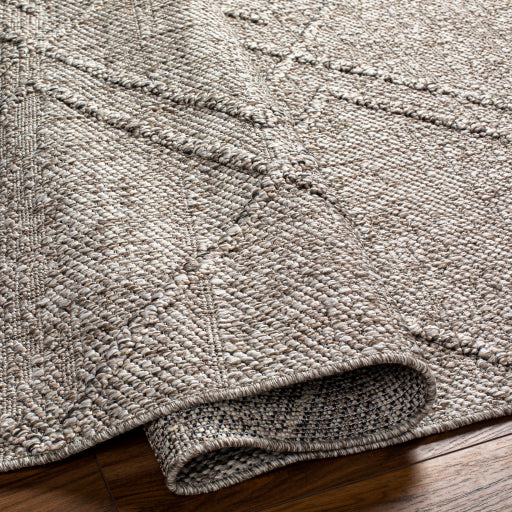 Surya Sarasota SSO-2307 Taupe Modern  Rug