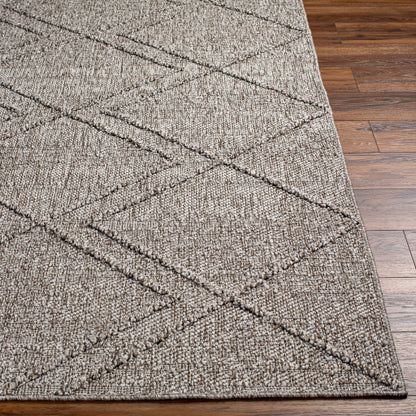 Surya Sarasota SSO-2307 Taupe Modern  Rug